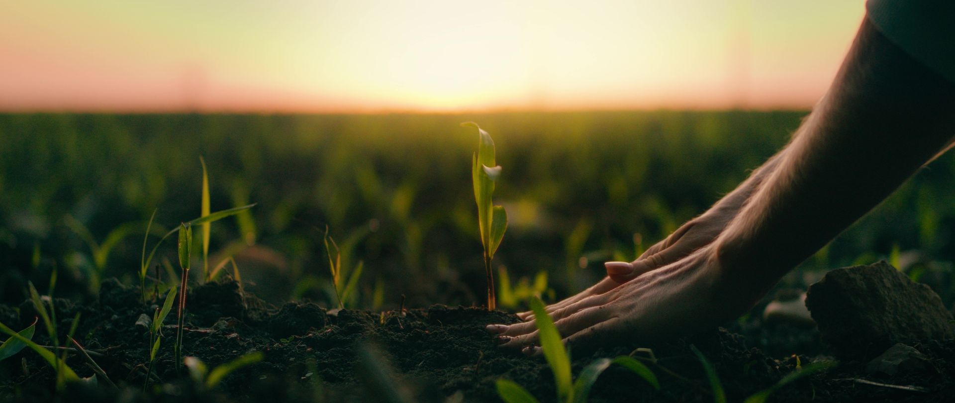 Socios Desde el Primer Día